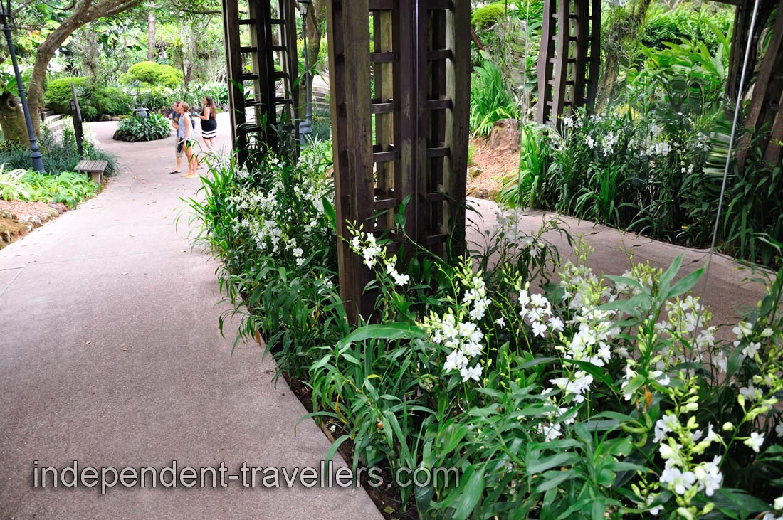 On the way to the Cool House