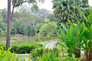 Here is one more lake in the Botanic Gardens