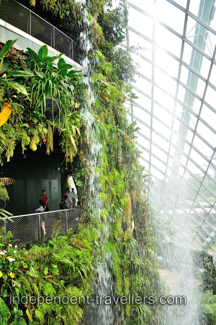 Cloud Forest has 6000 square meters of planting space