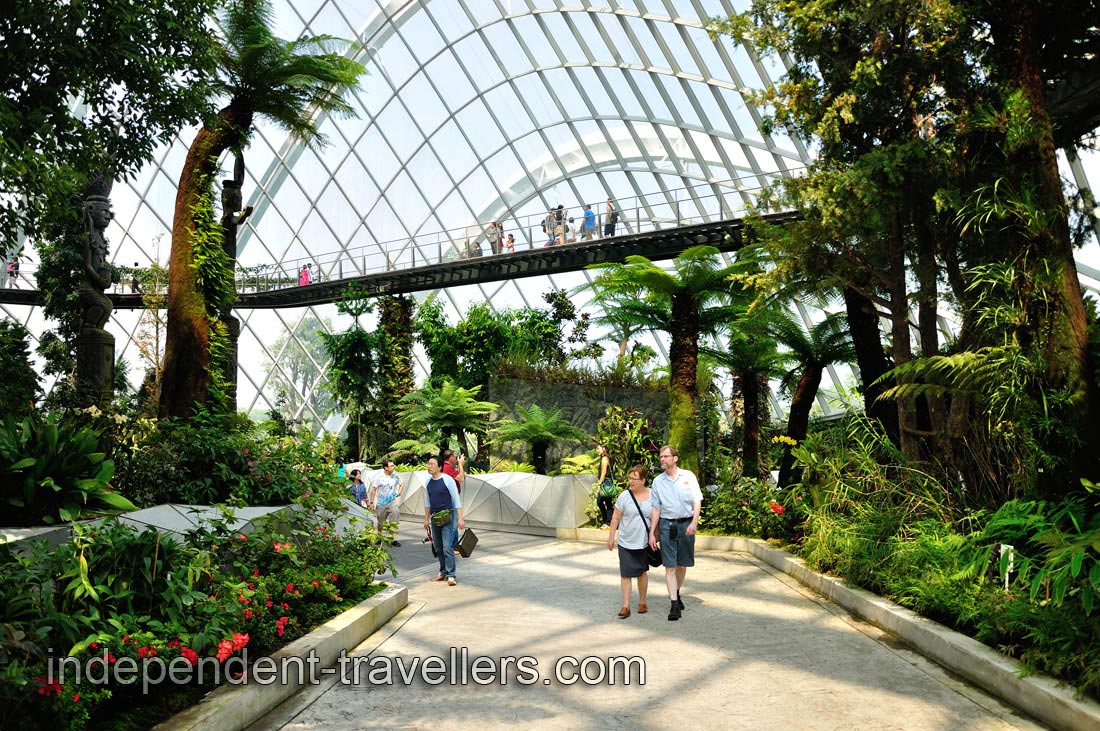 On the first floor of the Cloud Forest
