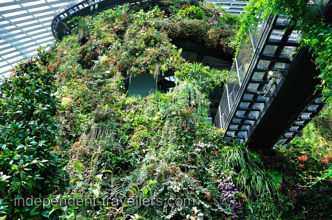 Bridge of the second floor leads to the heart of the Cloud Forest