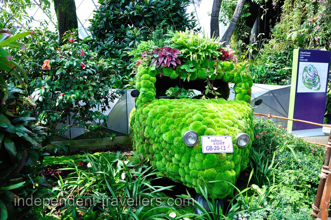 Automobile &ldquo;Ananas & Berry GB-20-13&rdquo; has been covered with the green moss