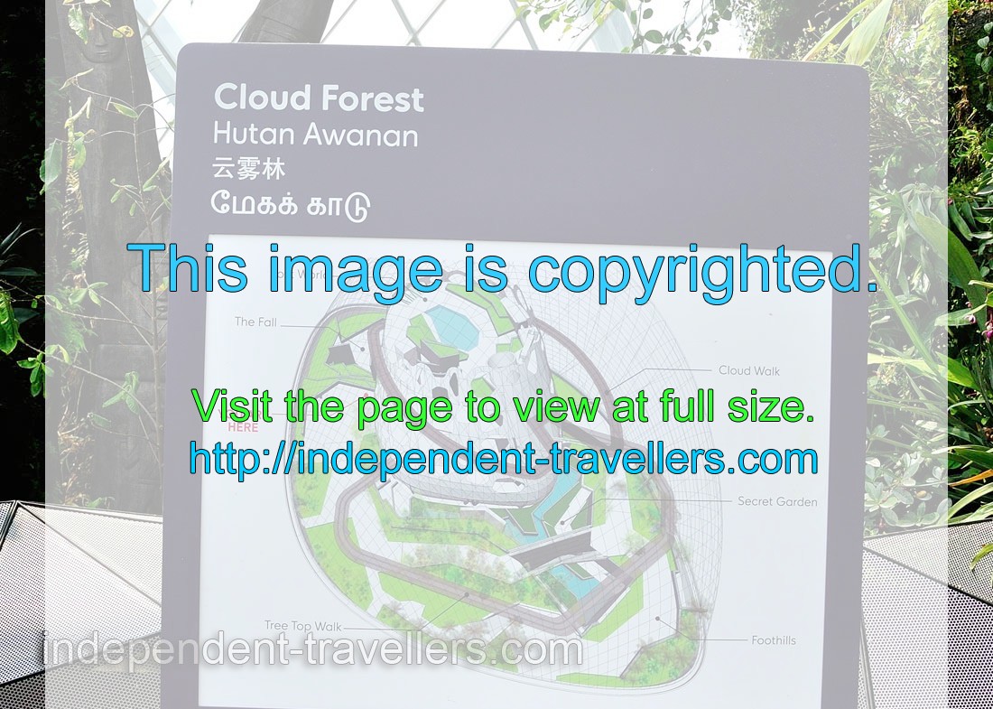 3D scheme of the Cloud Forest