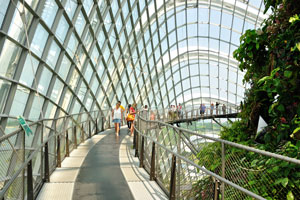 Cloud Walk goes under the glass roof