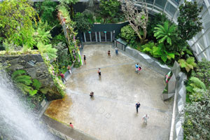 Cloud Forest can fit 1200 people