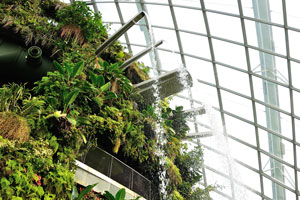 Cloud Forest was made of 2577 glass panels in 690 shapes and sizes