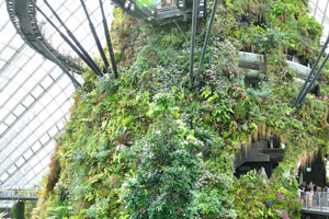 Cloud Mountain: a 35 m tall man-made mountain clad in plants with a 30 m waterfall