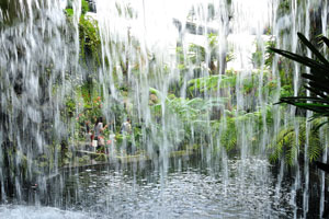 Secret Garden: cascade of the waterfall