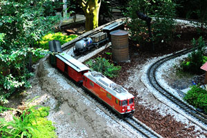 Toy train is on the rails