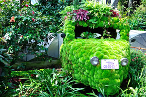 Automobile “Ananas & Berry GB-20-13” has been covered with the green moss