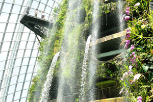 Waterfall is decorated with orchids