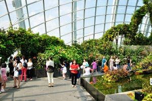 Do you know why Singapore is a tourist's delight? Cloud Forest is the answer