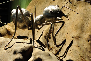 Huge artificial ants