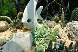 Euphorbia horrida and the stones in the shape of a fish
