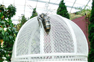 Metallic gazebo with the flying insect on its top