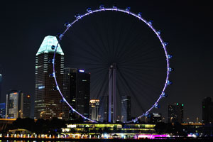 Singapore Flyer view from the Flower Dome