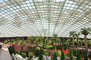 With 3,332 panels of 42 varying shapes and sizes of spectrally selective glass, the Flower Dome is like a giant puzzle!
