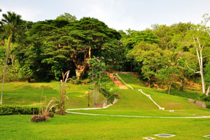 This stairway to the park is found next to the bus stop “Opp Liang Ct” on River Valley Road