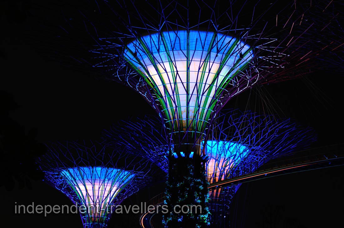 Colors of the supertrees are always changing in the evening