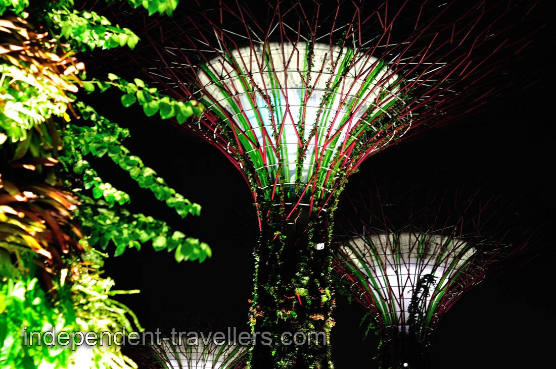 Sometimes Supertrees are in red and green colors