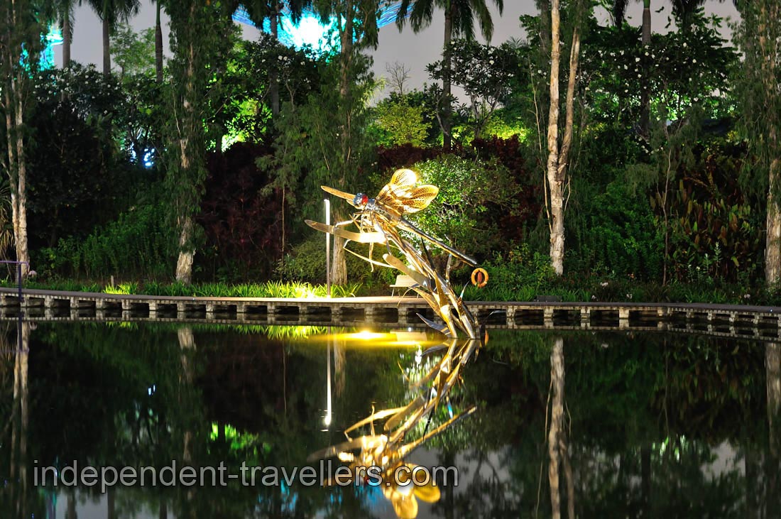 Night photograph of the dragonfly
