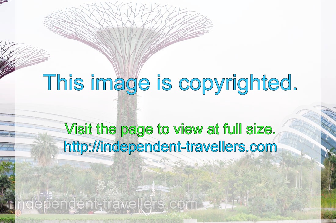 Supertrees are found very close to Flower Dome and Cloud Forest
