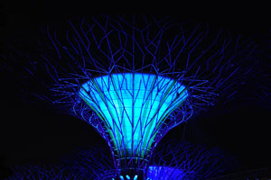 Blue artificial supertree
