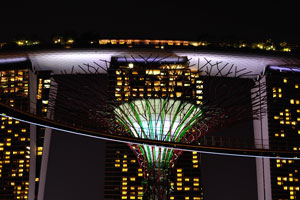 View of Marina Bay Sands behind the Supertree