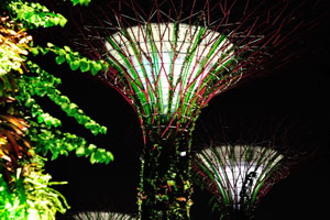 Sometimes Supertrees are in red and green colors