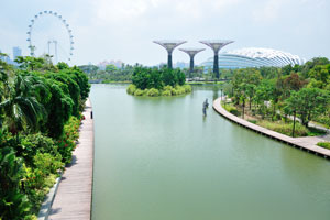 Singapore Flyer, three Supertrees and Flower Dome