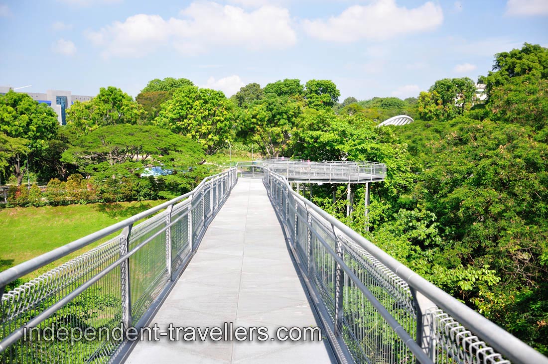 We are two hundred meters away from Alexandra Arch bridge