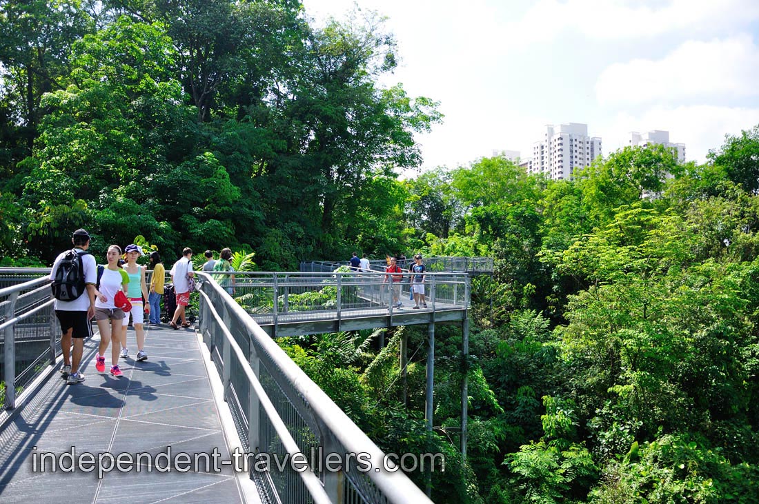 Enjoy the great outdoor experience the Southern Ridges has to offer!