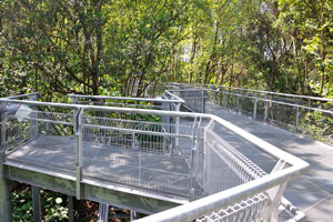 Forest Walk cuts through about 50 metres (160 ft) through the secondary forest in Telok Blangah Hill Park and connects to Alexandra Arch