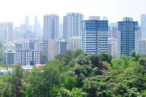City view from the Henderson Waves bridge