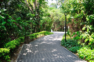 In the beginning of Mount Faber Park