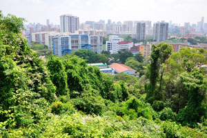 Shelton College International view from Mount Faber Park