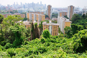 Apartment building at 32 Telok Blangah Rise Singapore, view from Mount Faber Park