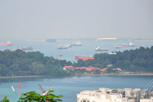 Ships on the water, view from Mount Faber Park