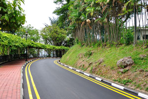 Smooth asphalt road in Mount Faber Park near The Jewel Box