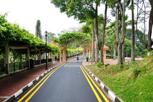 Faber Walk in the direction of Marang Trail