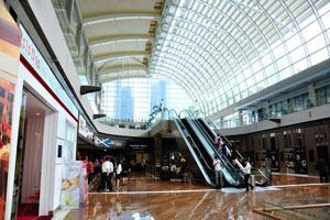 Marina Bay Sands has a hotel, convention and exhibition facilities, entertainment venues, retailers and restaurants