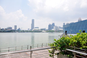 You may find the Merlion statue on this photograph