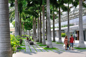 Palm alley at the foot of Marina Bay Sands Expo & Convention Center