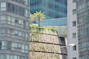 Trees and plants are everywhere between the skyscrapers