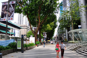 Orchard Road in front of ION Orchard
