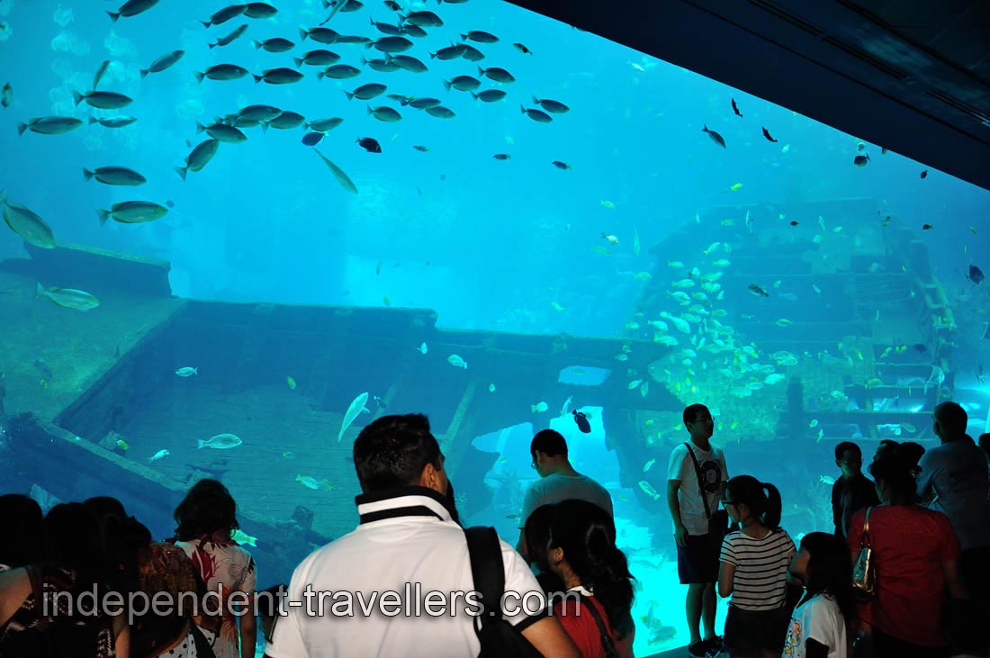 Room with a shipwreck is a beginning of the oceanarium