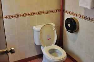 This toilet is installed in the bathroom of the room 12 in the South East Asia Hotel