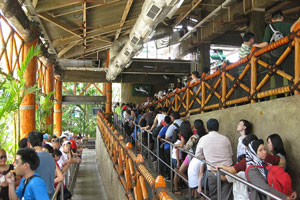The most long queue was to Canopy Flyer that day