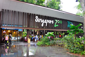 At the entrance to the Singapore Zoo