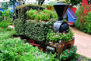 Steam locomotive is covered with flowers